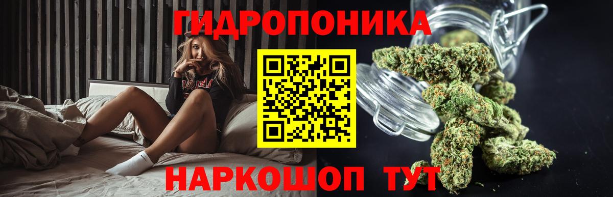 Шишки марихуана гибрид  Ишим  Каннабис Bruce Banner  Бошки марихуана MAZAR 